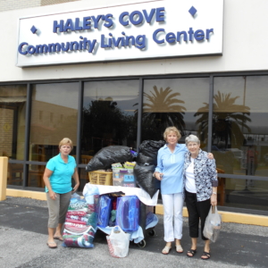 DAR haley's cove